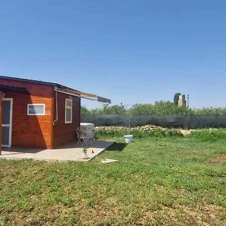 Ugvilla * Arenella (Syracuse)